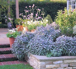 Garden in Hampshire Garden in Hampshire
